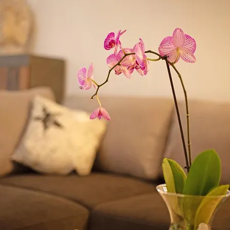 Casa Alexis Holiday home *
